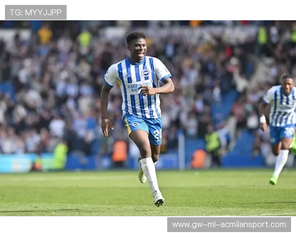 巴莱巴与主帅争执：足球场上的火花与深意