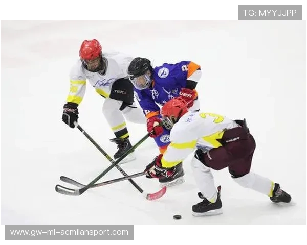 冰球比赛五分钟连进三球，观众尖叫